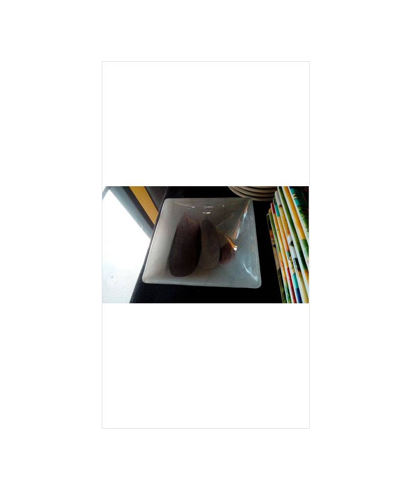 COUPELLE VERRE 