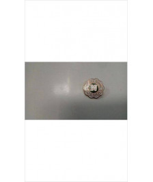 BROCHE SCHOOL 
