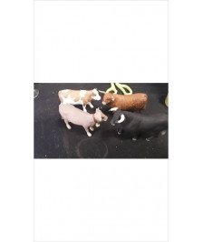 VACHE 