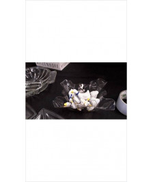 OIES MINIATURES LE LOT 