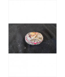 BOITE COQUILLAGES PM