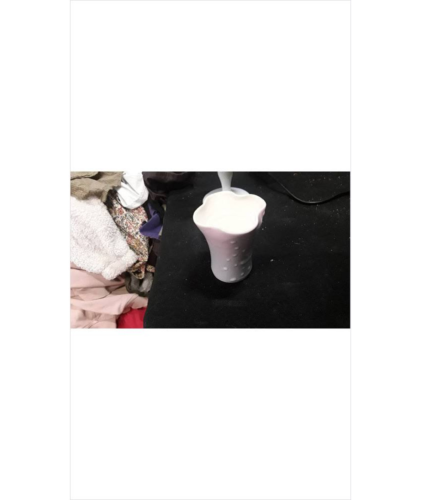 VASE PM