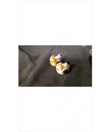 SEL POIVRE POULE 