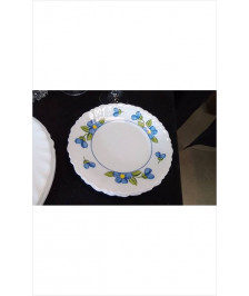 ASSIETTES ARCOPAL X3 