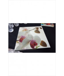 CADRE ORCHIDÉE 