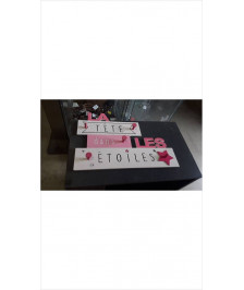 PATERE ROSE EN LETAT 