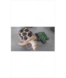 DECO TORTUE 