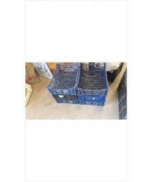CAISSE PLASTIQUE PM 