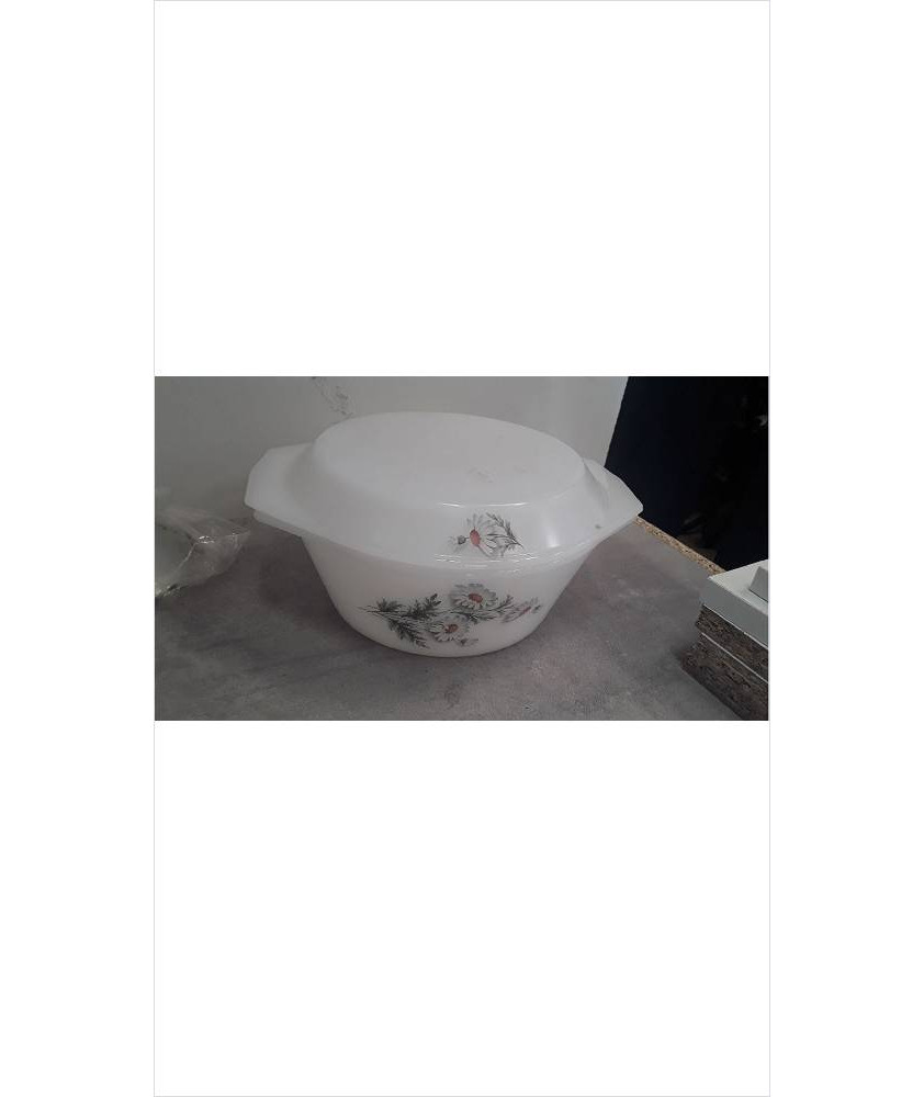 COCOTTE ARCOPAL 