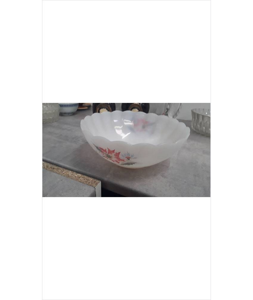 SALADIER ARCOPAL