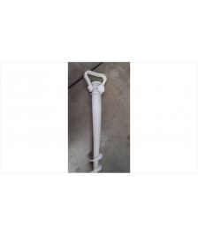 CAROTTE PARASOL
