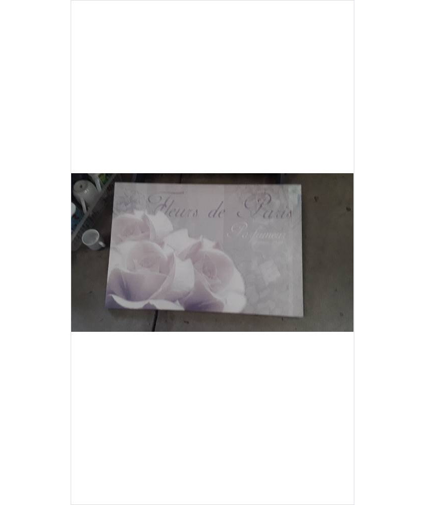 TOILE PARIS