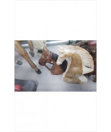 TETE CHEVAL BOIS 