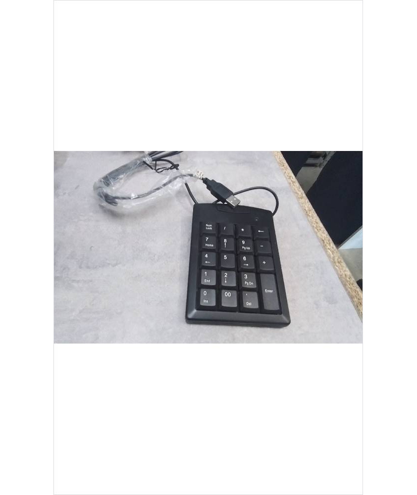 PAVE NUMERIQUE 