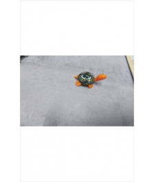 TORTUE PM
