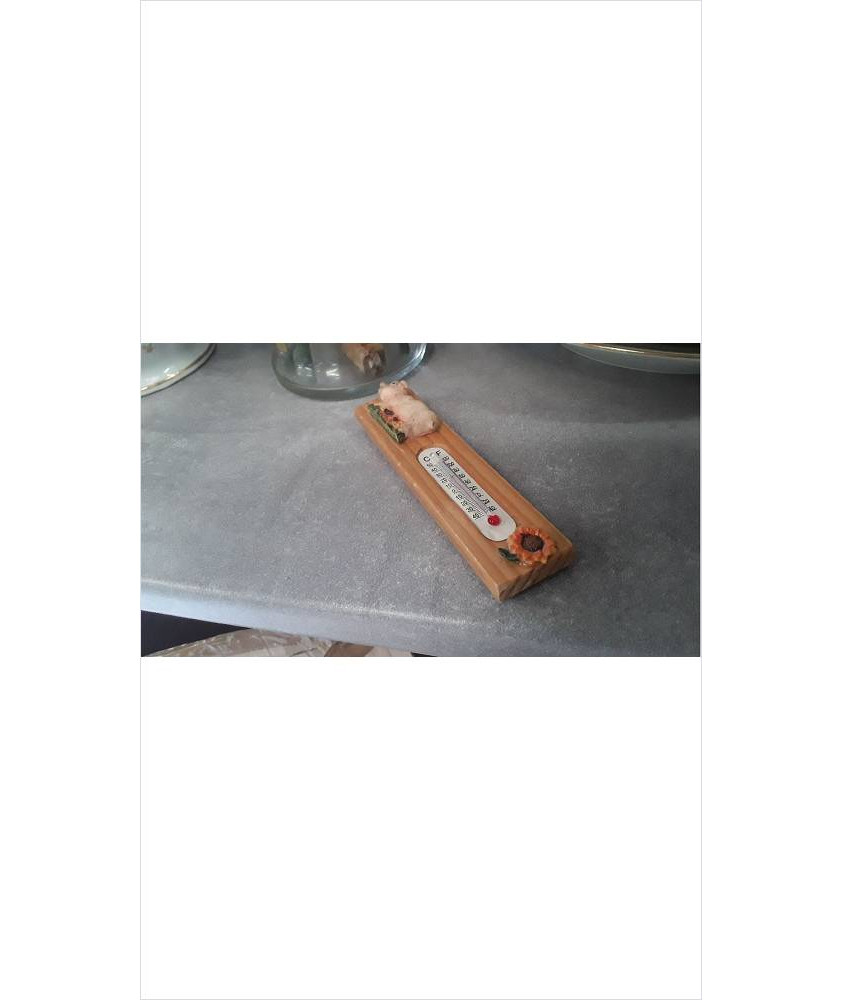 THERMOMETRE 