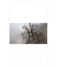 LUSTRE FEUILLES GM 6 BRANCHES 