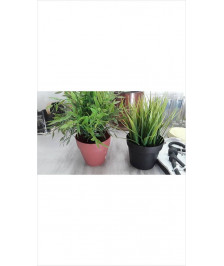 PLANTE ARTIFICIELLE PM 