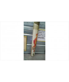STICKER TULIPES