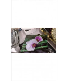 DECO ORCHIDEE 