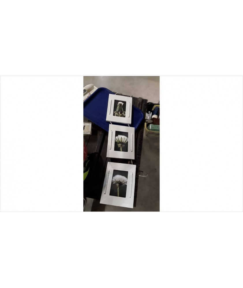 CADRE TRIPTIQUE 