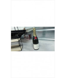 BOUTEILLE DECO CHAMPAGNE MOET