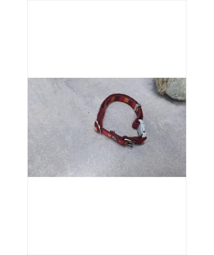 COLLIER CHIEN PM