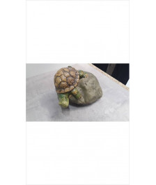 TORTUE 