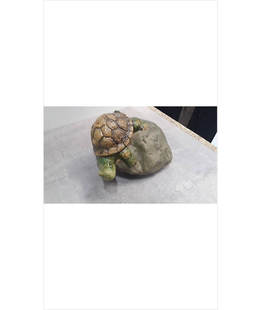 TORTUE 
