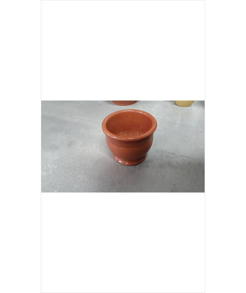 POT PM 