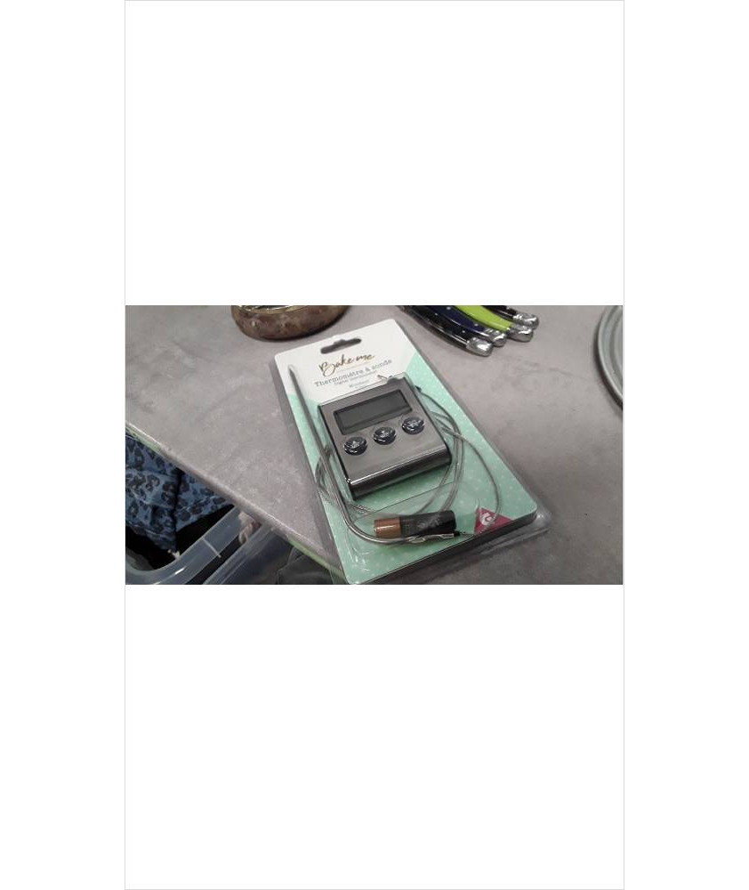 THERMOMETRE A SONDE