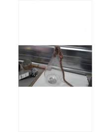 VASE VERRE + CORDE 