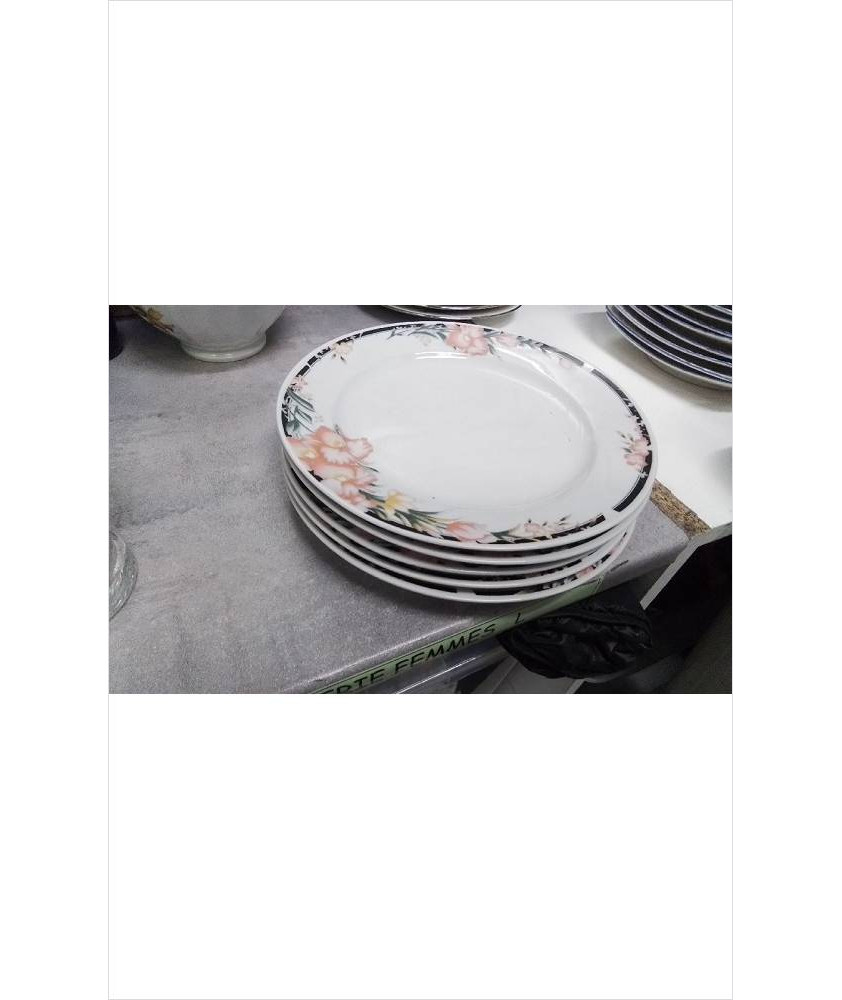 ASSIETTES A DESSERT 