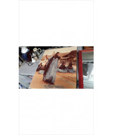 TOILE DANSEUSE 