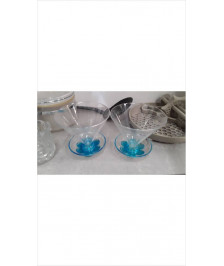 COUPES A GLACE PLASTIQUE X2 
