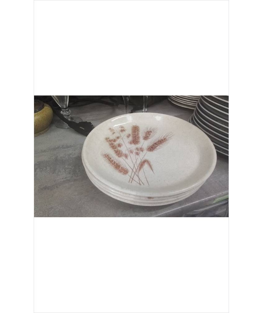 ASSIETTES LUNEVILLE LE LOT