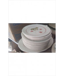 SERVICE ASSIETTES LE LOT EN L’ETAT