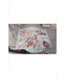 SET DE TABLE 