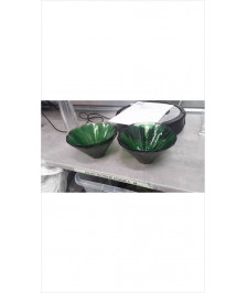 SALADIERS VERTS PM X2 