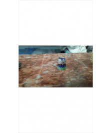 DE CHOUETTE CLOISONNE 