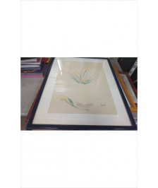 CADRE AQUARELLE SOPHIE VARLET