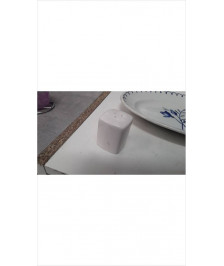 SALIERE PM 