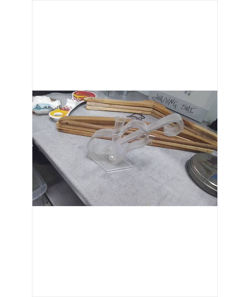 SOLIFLORE PLASTIQUE 
