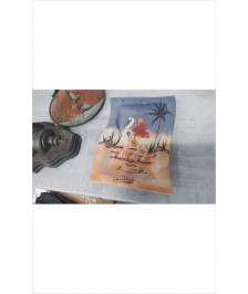 VIDE POCHE TUNISIE 