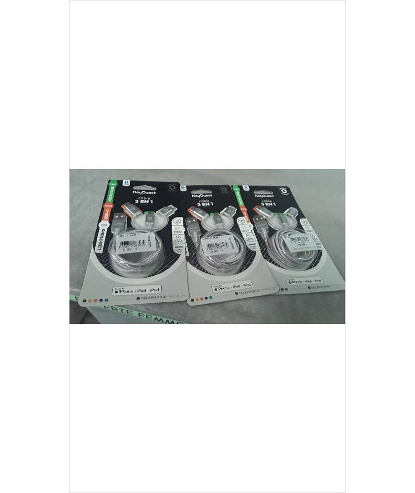 CABLE CHARGEUR 3/1