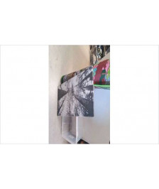 TOILE ARBRE