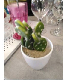 DECO CACTUS