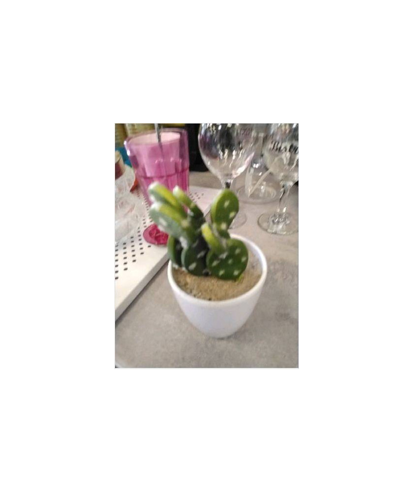 DECO CACTUS