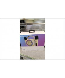 ENCEINTE + 2 MICROS