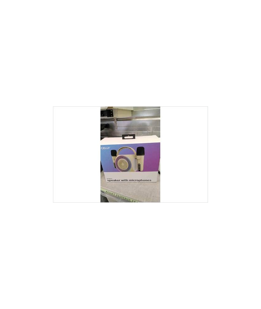 ENCEINTE + 2 MICROS